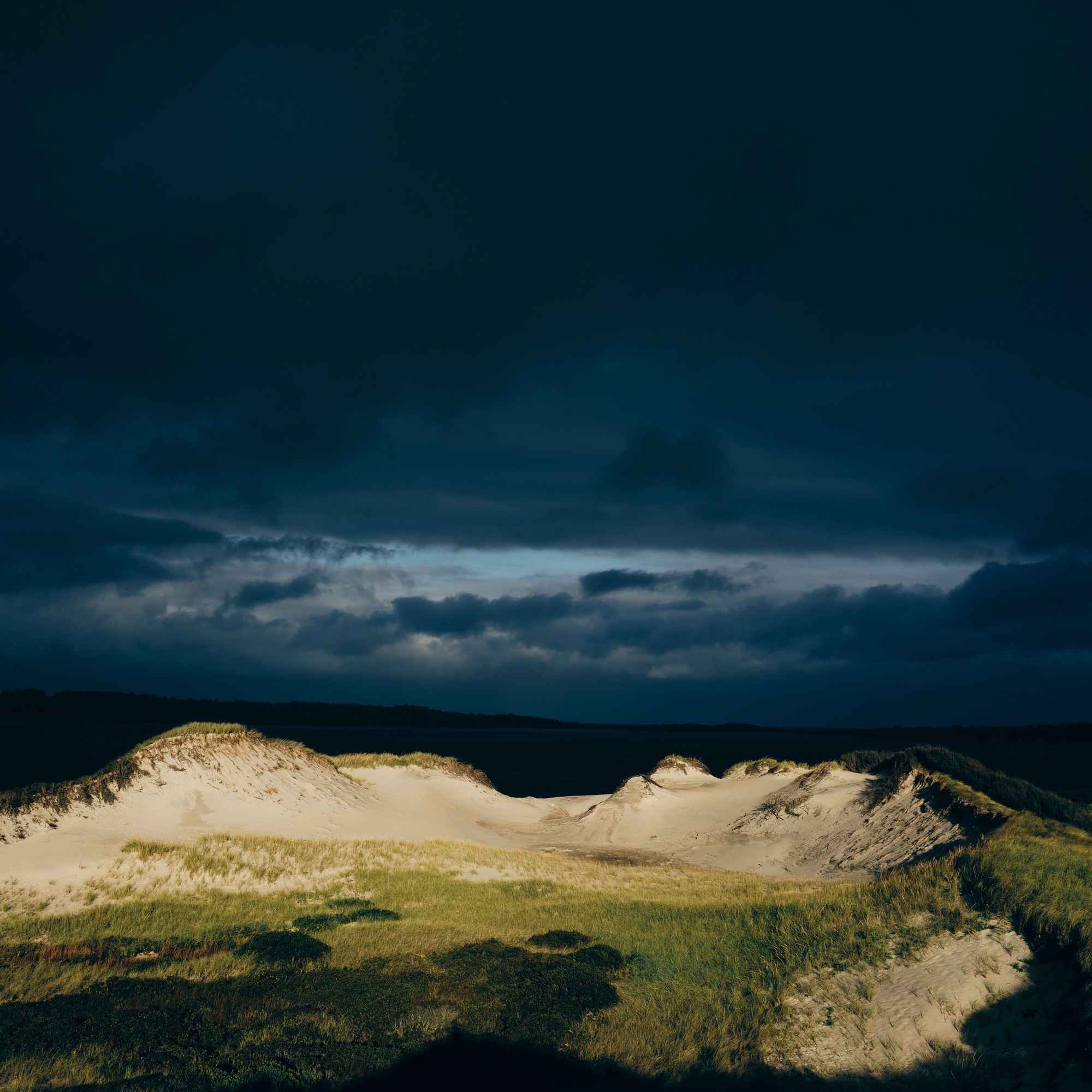 Dune