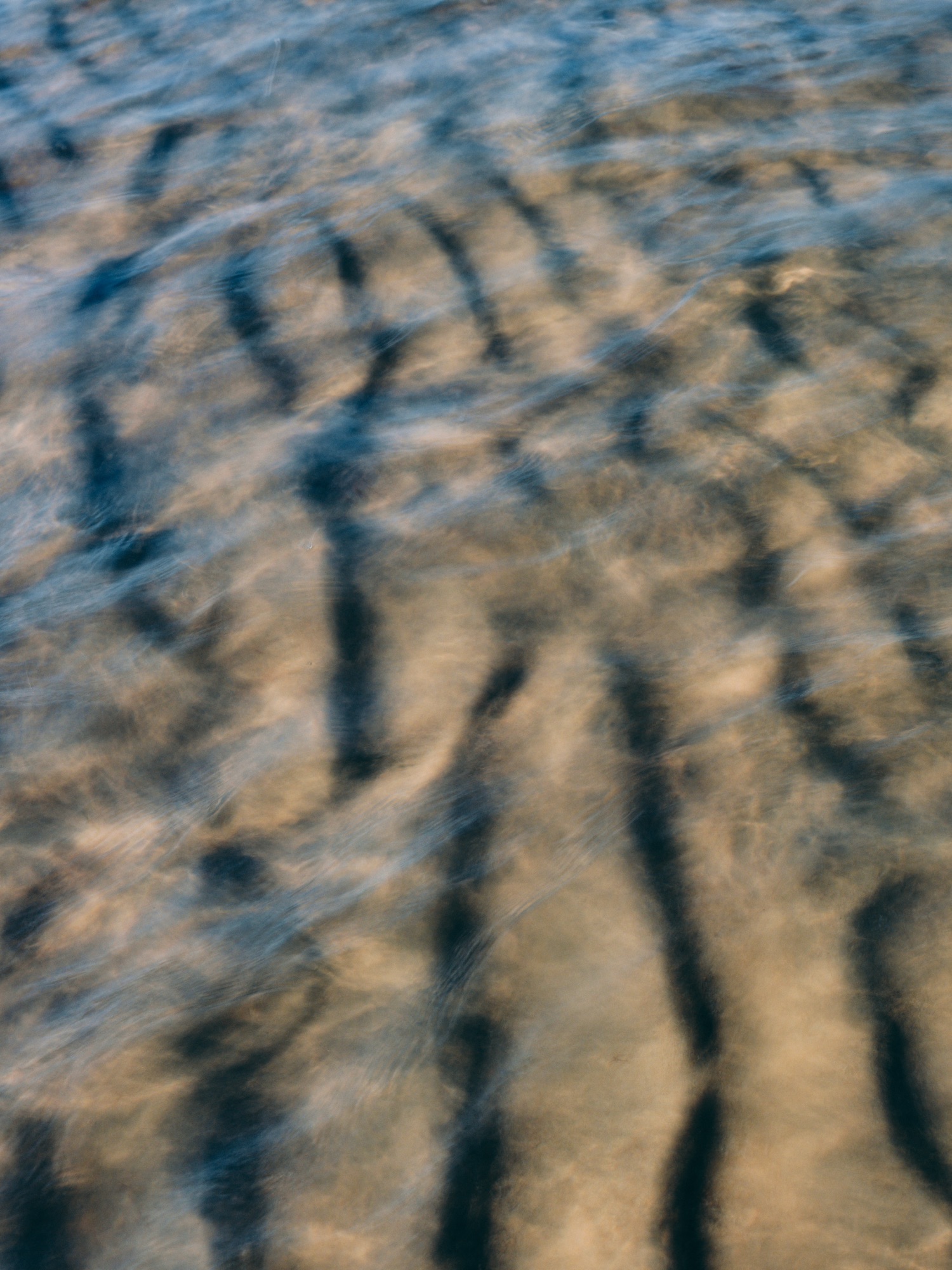 Shoreline